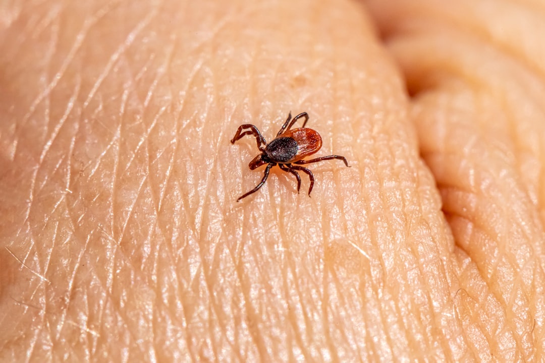 Photo Tick repellent