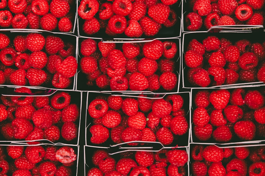Photo Red rash