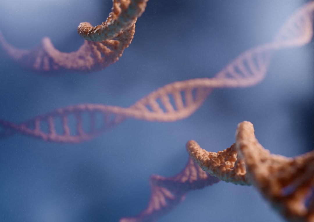 Photo Genetic diagram