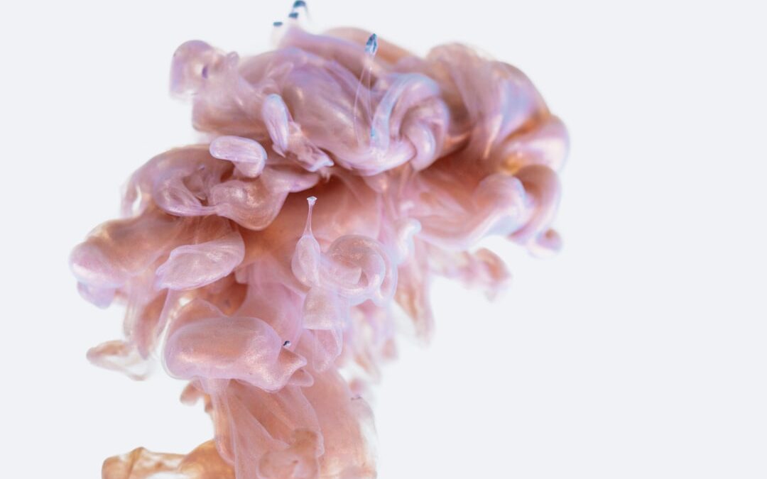 Photo Brain scan