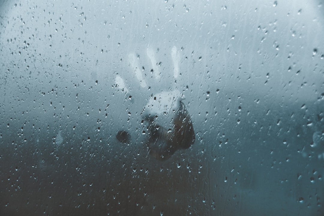 Photo Memory loss