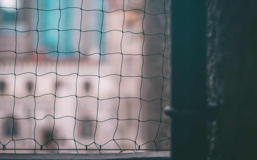 Photo Surgical mesh