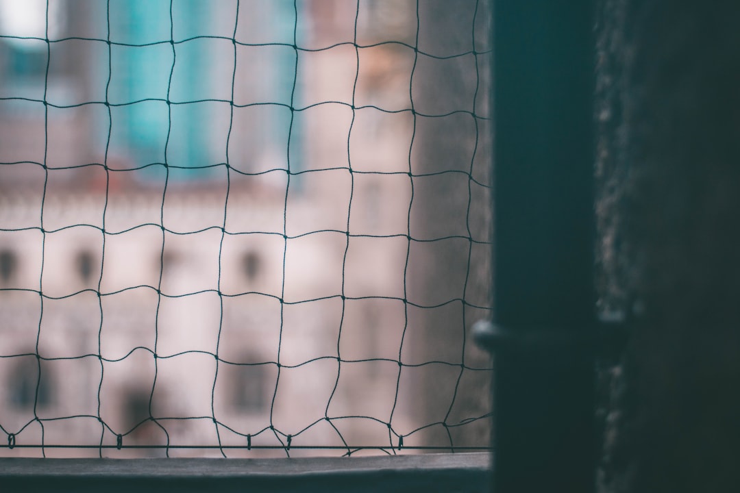 Photo Surgical mesh