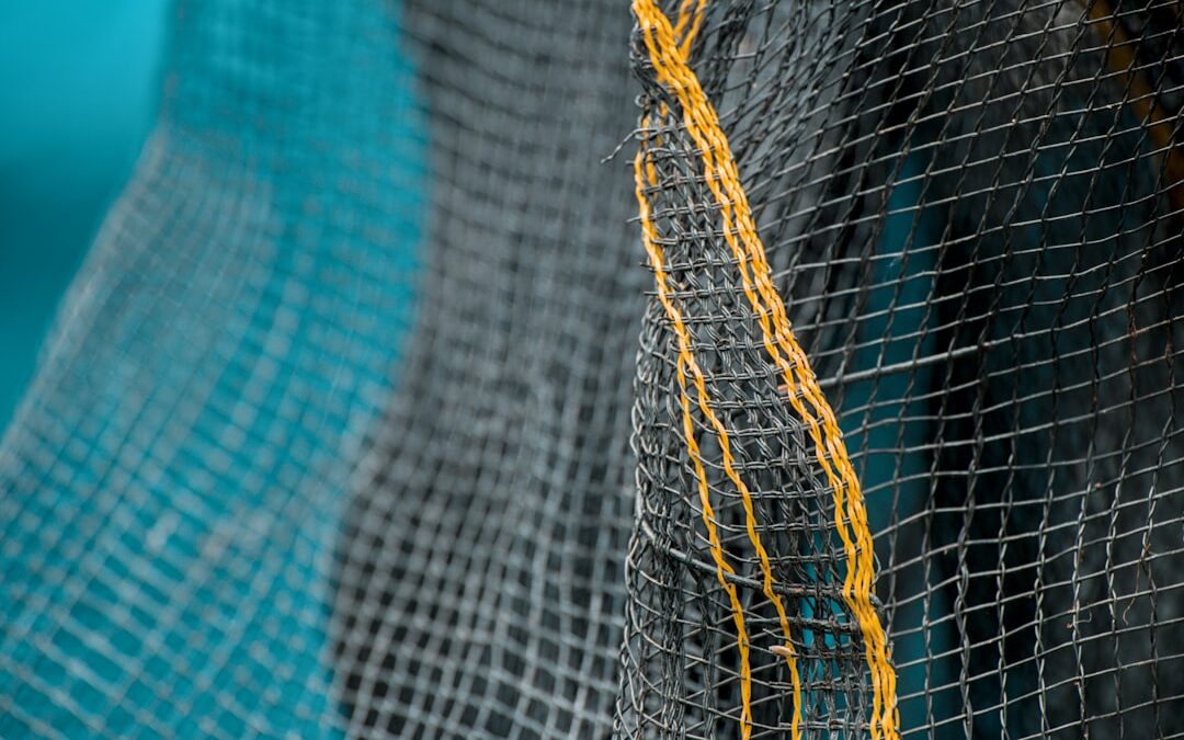 Photo Surgical mesh