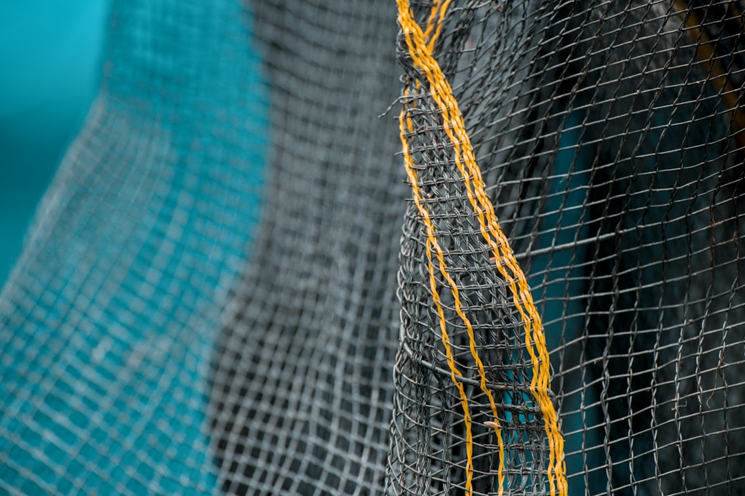 Photo Surgical mesh