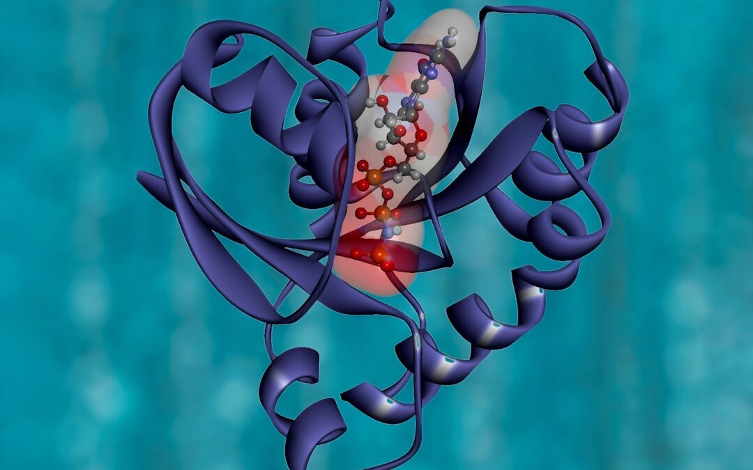 Photo Medical illustration