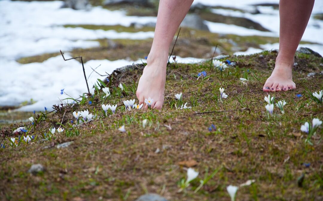 Photo Foot cream