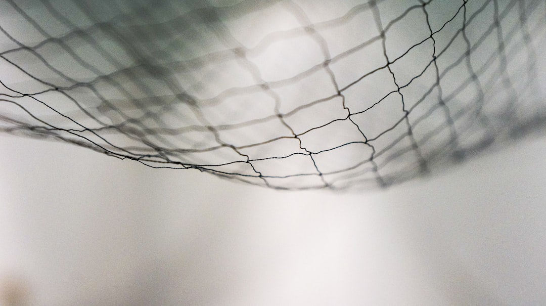 Photo Mosquito net
