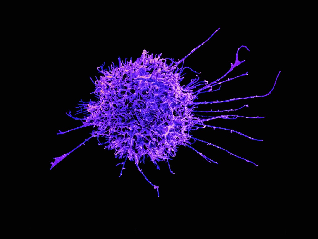 Photo immune system