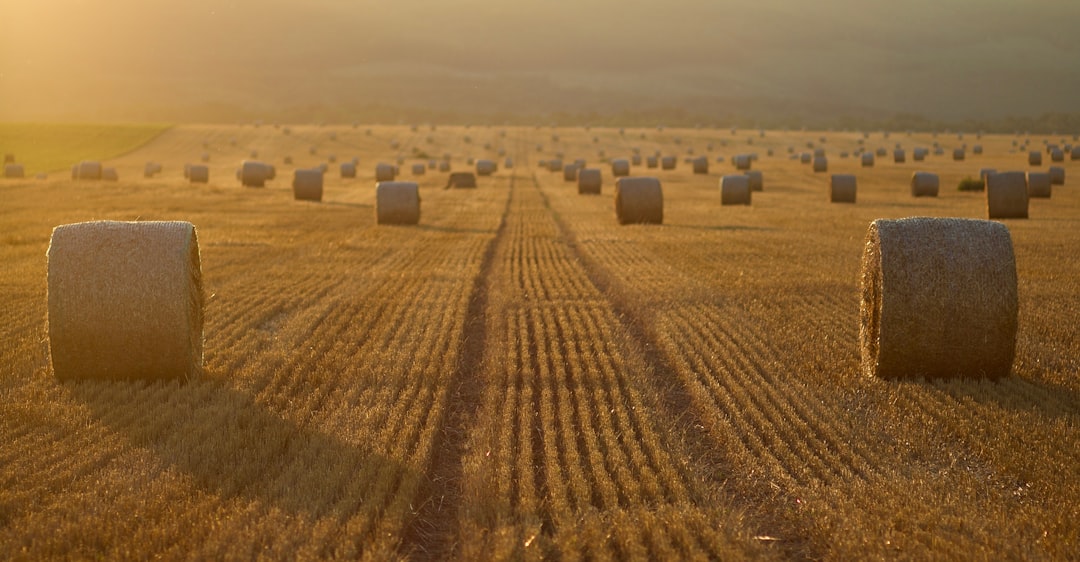 Photo Hungarian countryside