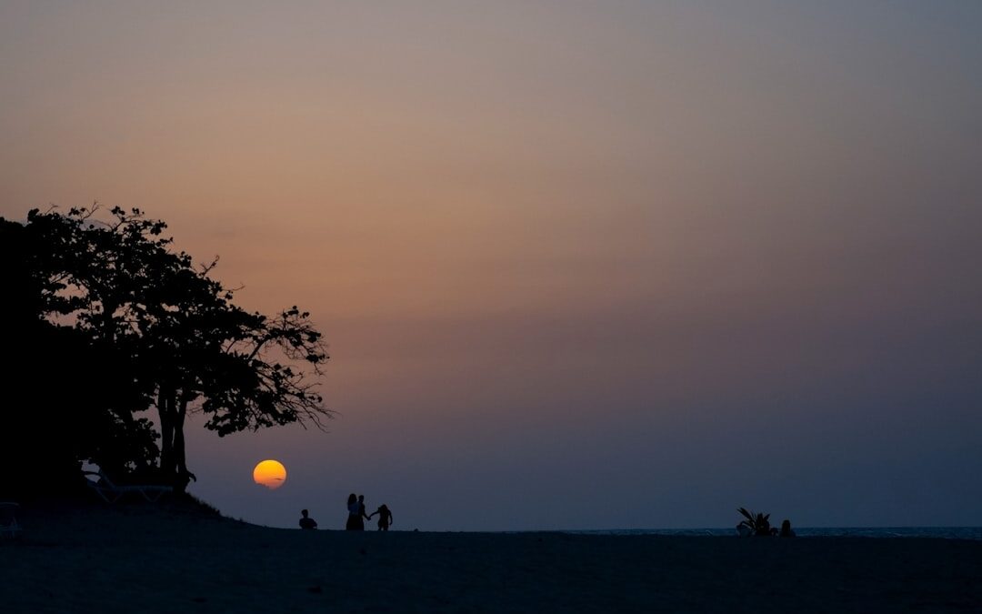 Photo Family tree