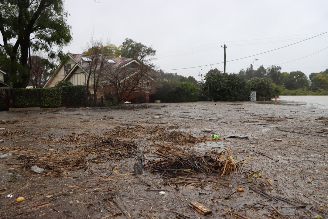 Photo Flooded street