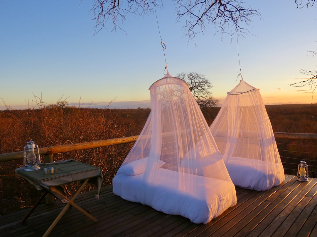 Photo Mosquito net