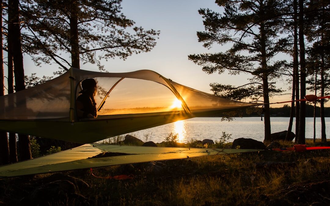 Photo Mosquito net