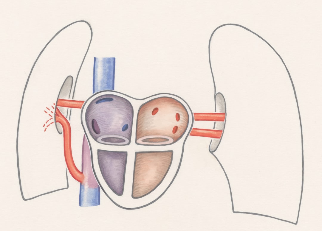 Photo Anatomy illustration