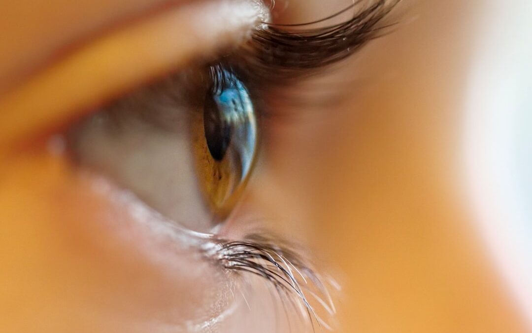 Photo Contact lenses