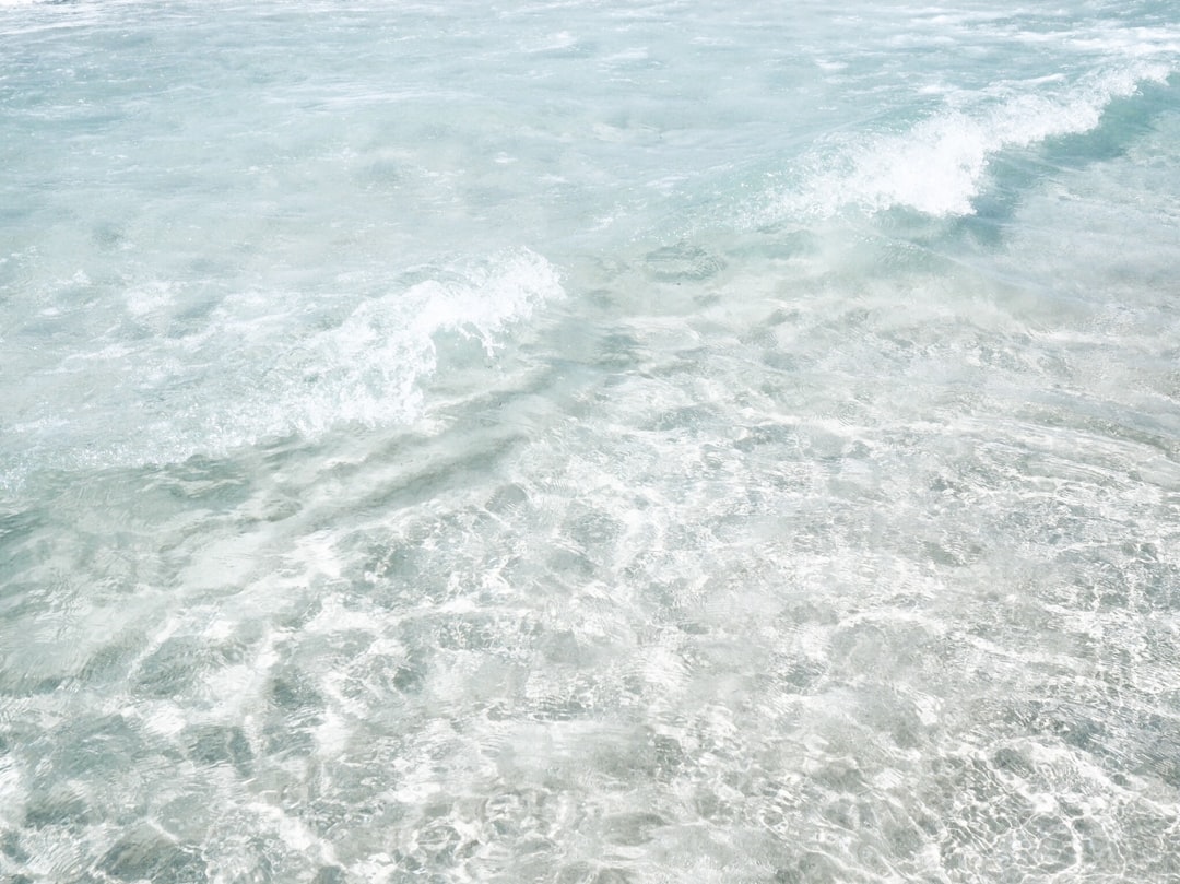 Photo Skin texture