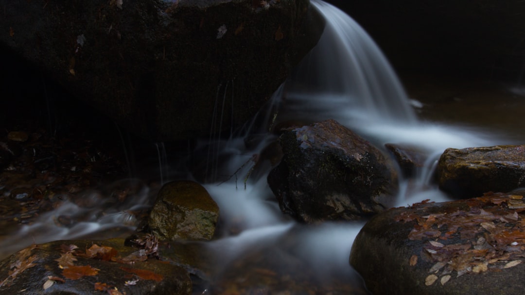 Photo Flowing transformation