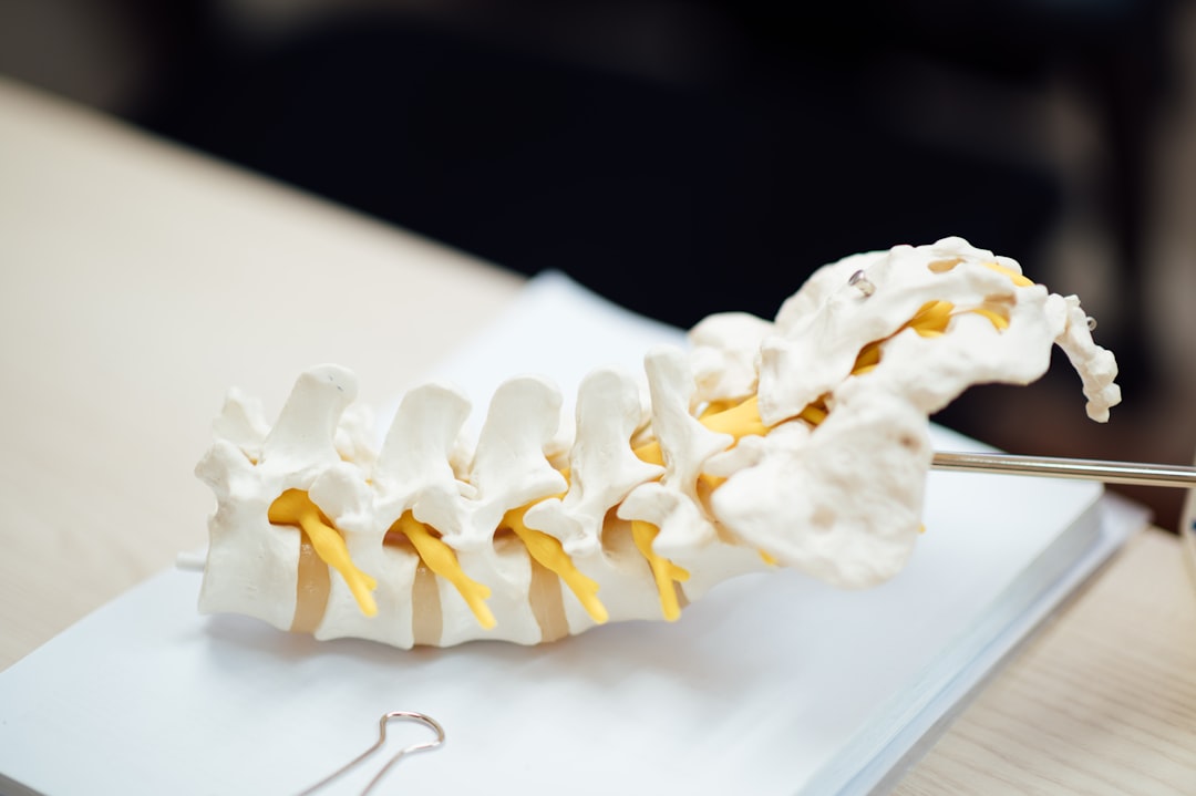 Photo Spinal cord