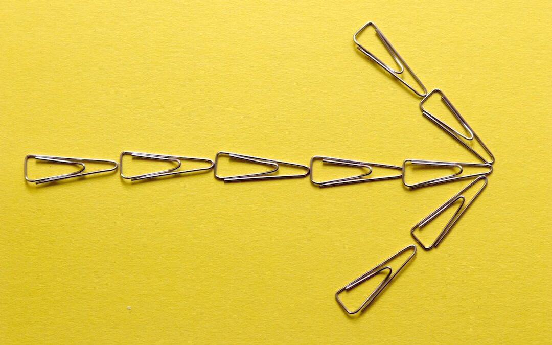 Photo Spine diagram