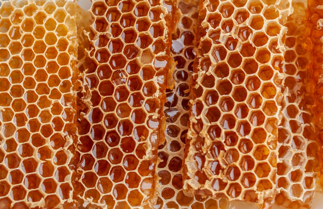 Photo Honey dressing
