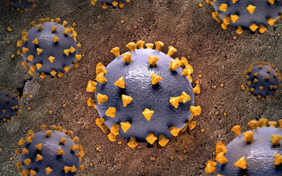 Photo Virus cells