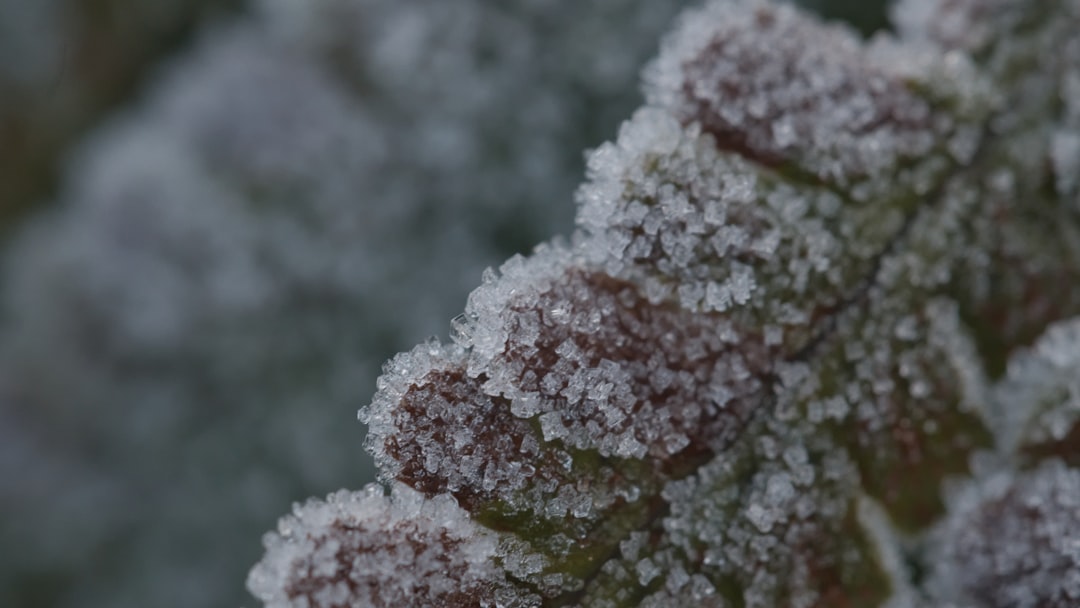 Photo Cold compress