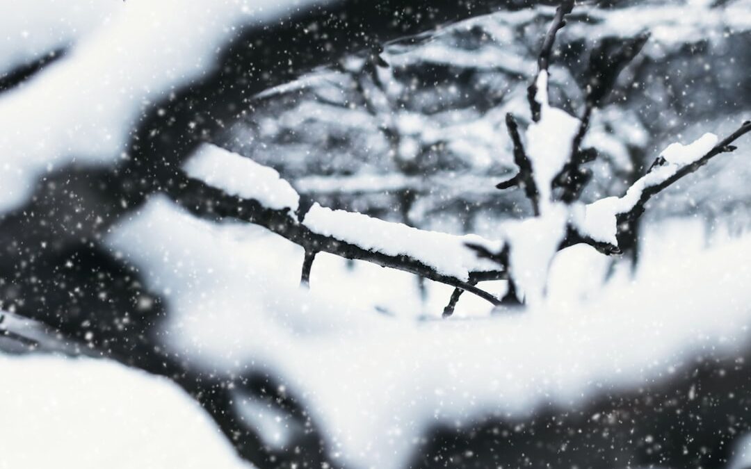 Photo X-ray image