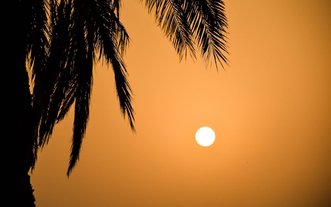 Photo Sunburn relief