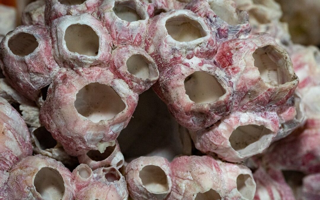 Photo Bone tumor