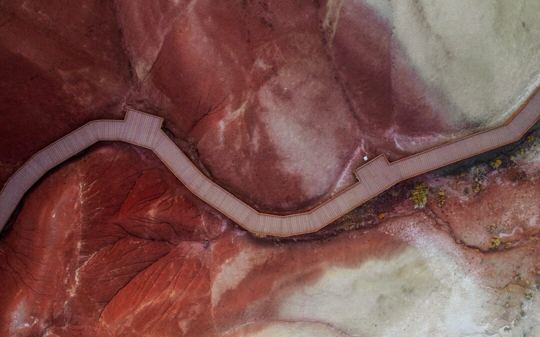 Photo Bone marrow biopsy