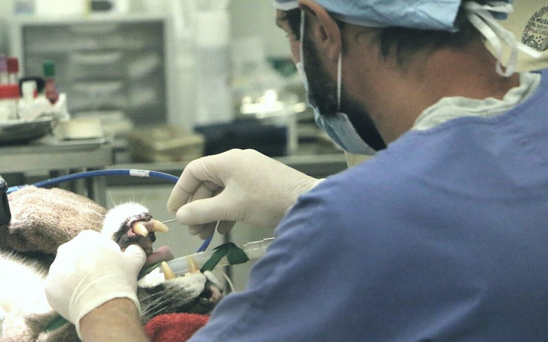 Photo Surgical removal