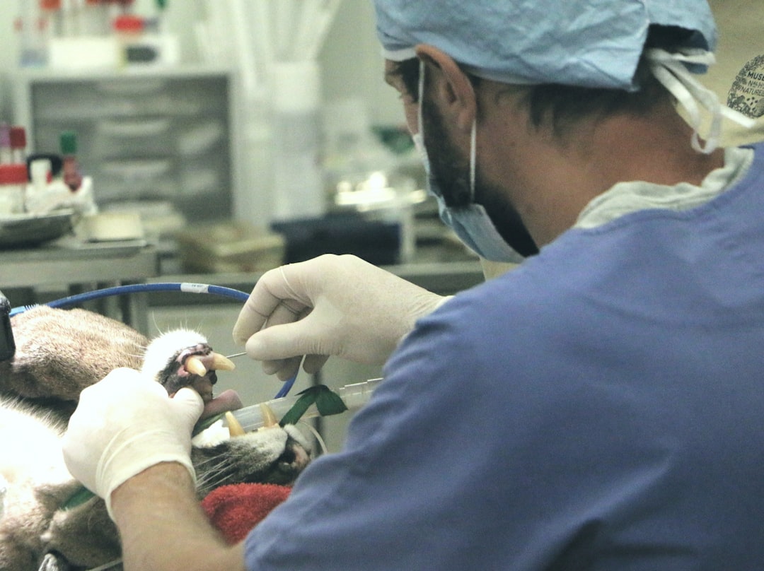 Photo Surgical removal