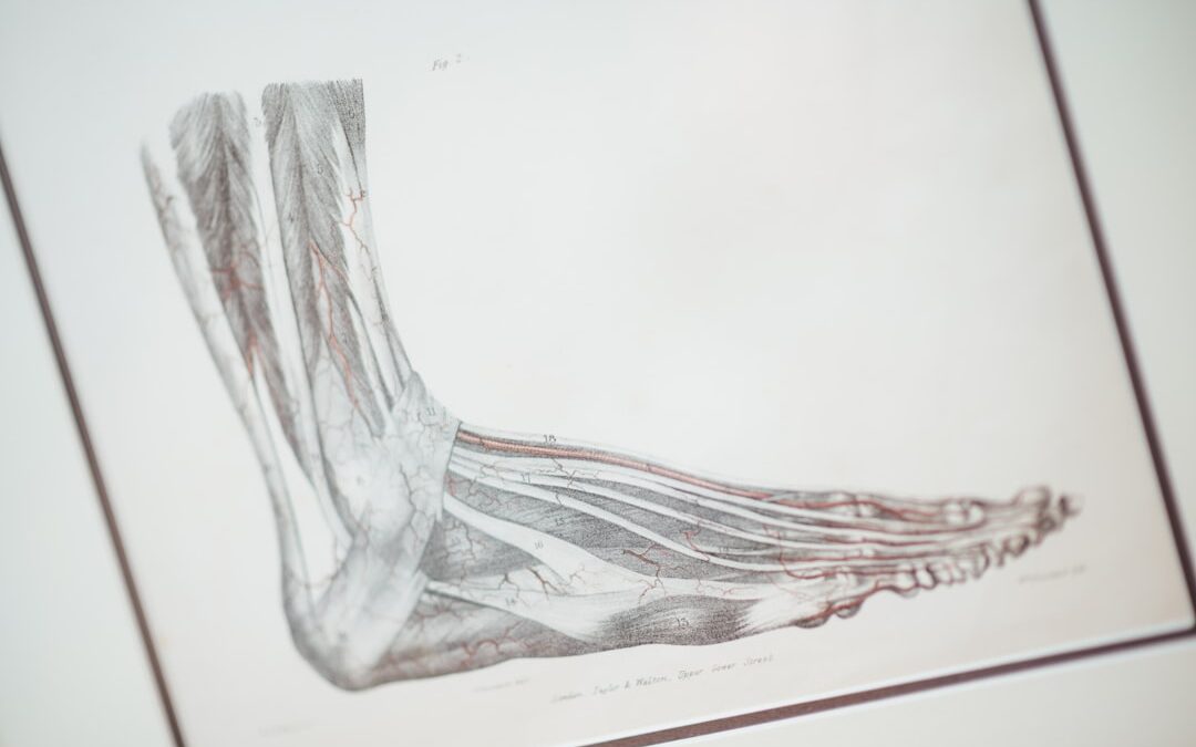 Photo X-ray image