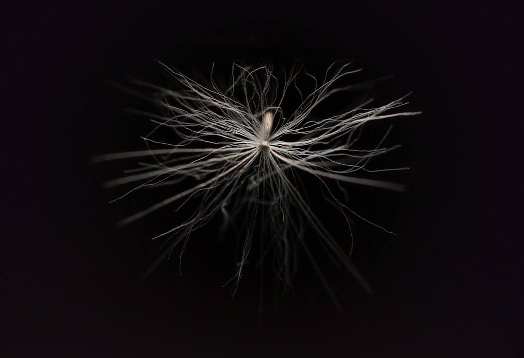 Photo Nerve damage