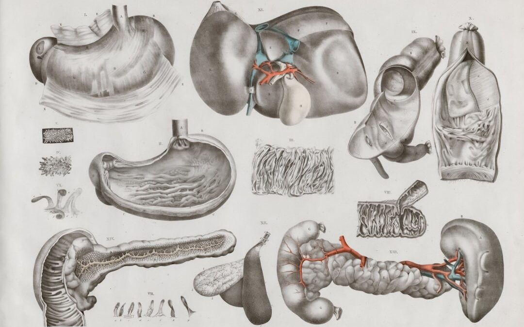 Photo Medical diagram