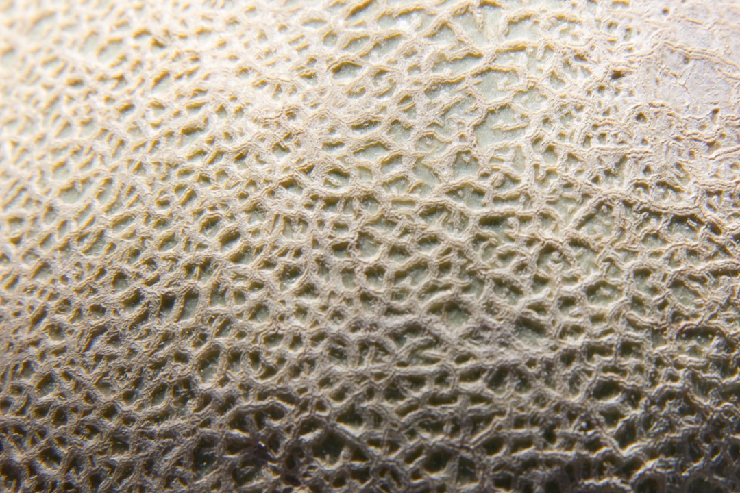 Photo Anti-fungal cream