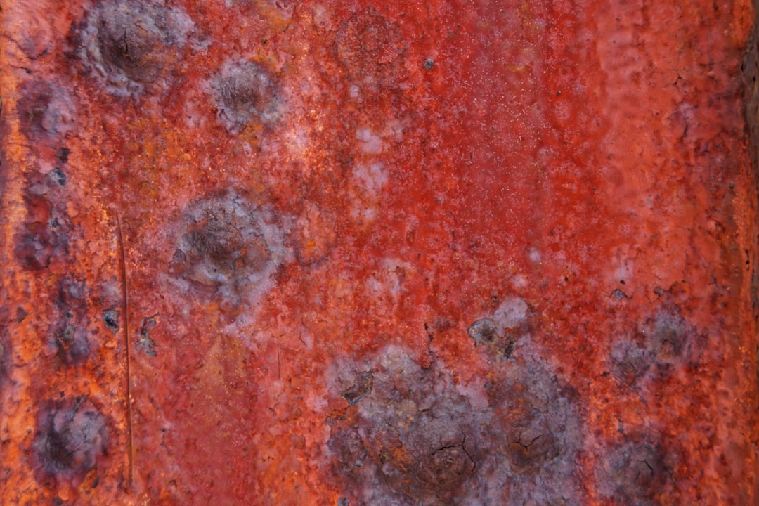 Photo Mold spores
