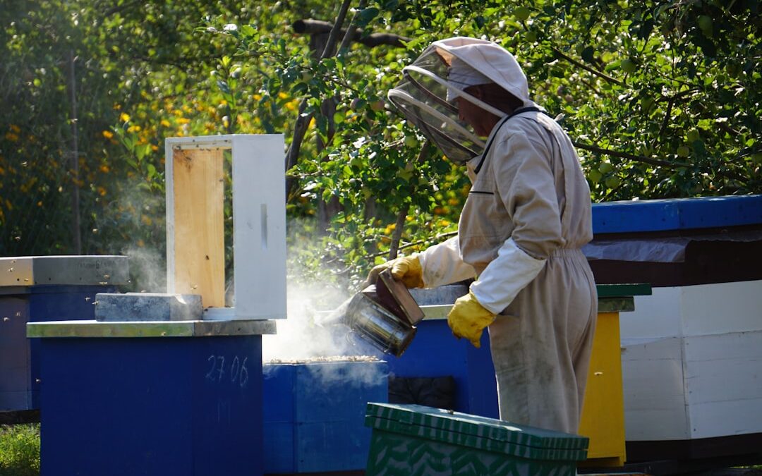 Photo Fungicide spray
