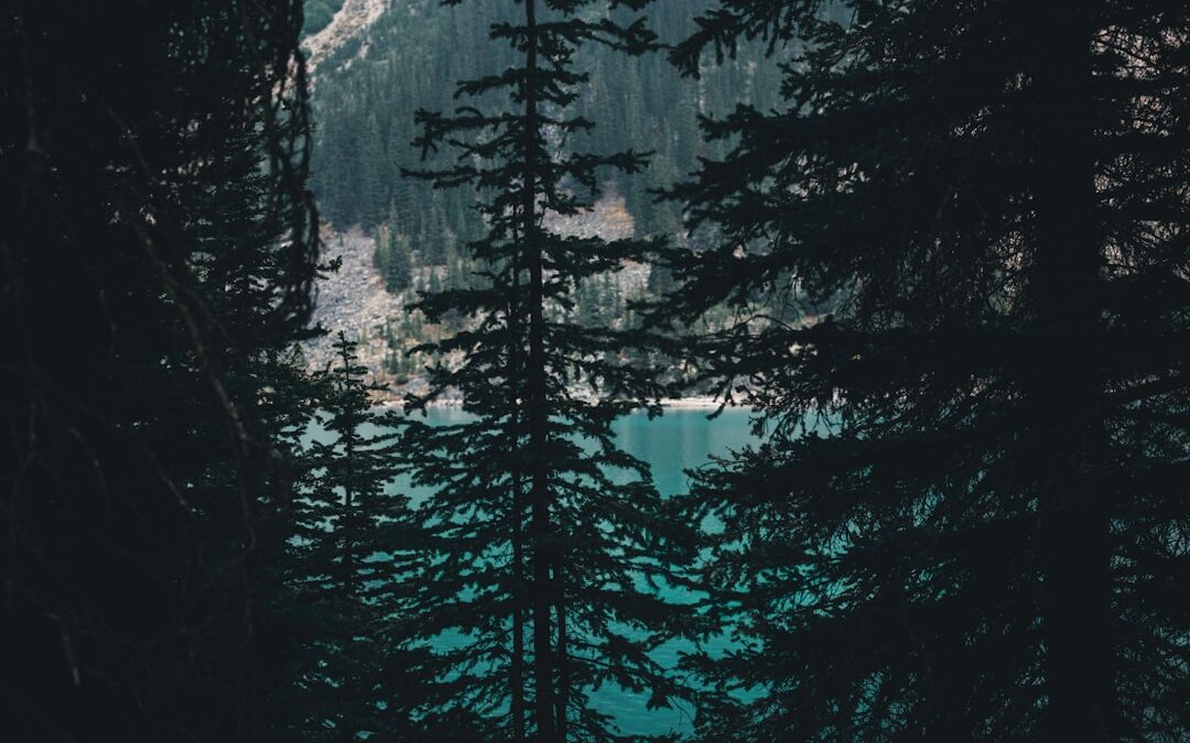 Photo Calm breathing