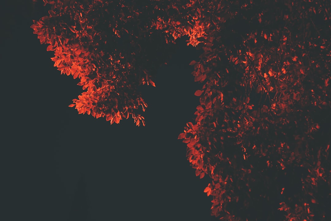 Photo Red, inflamed skin