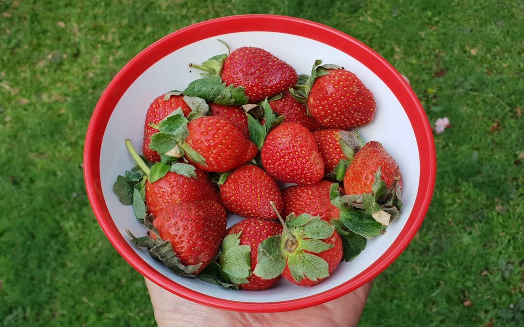 Photo Healthy diet
