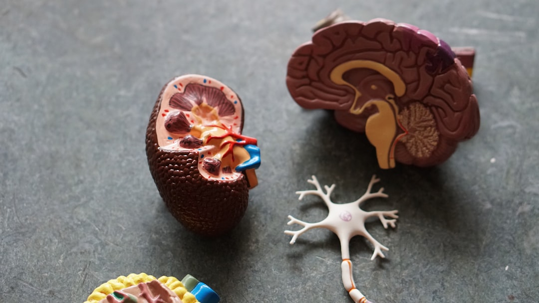 Photo Kidney damage