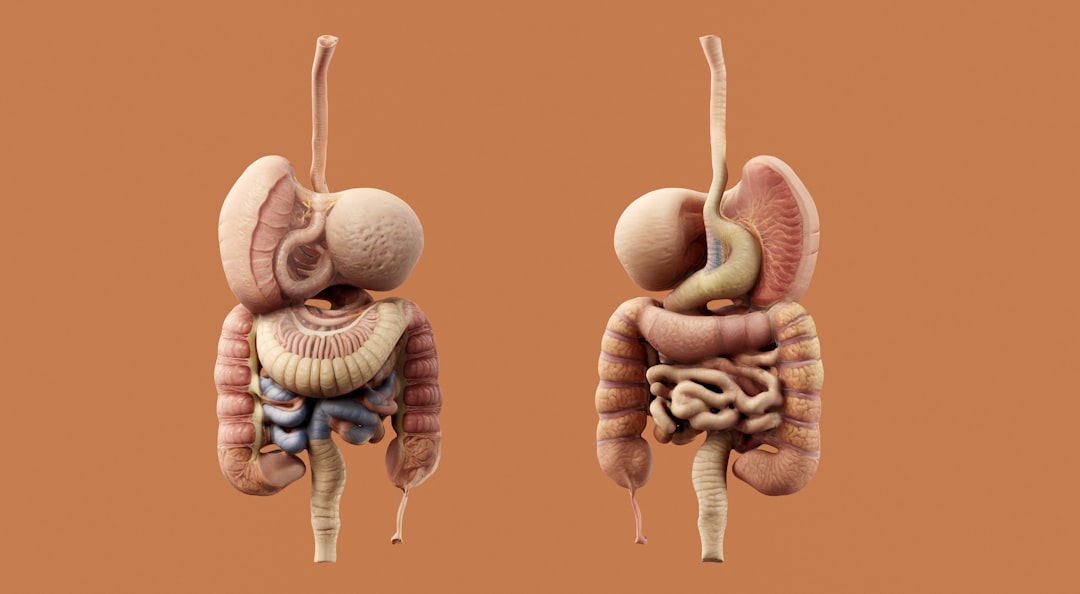 Photo Medical illustration