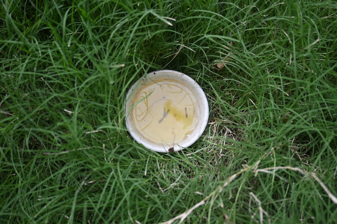 Photo Topical cream