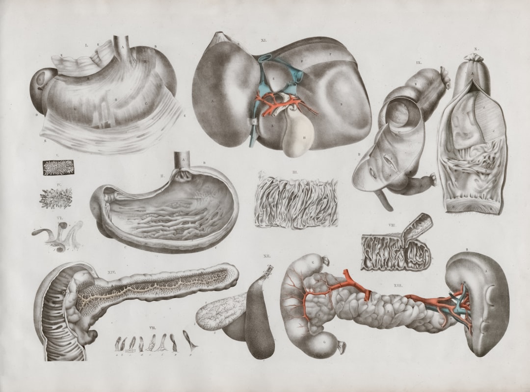 Photo Medical diagram