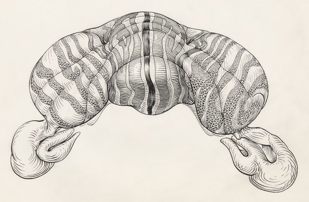 Photo Piriformis stretch