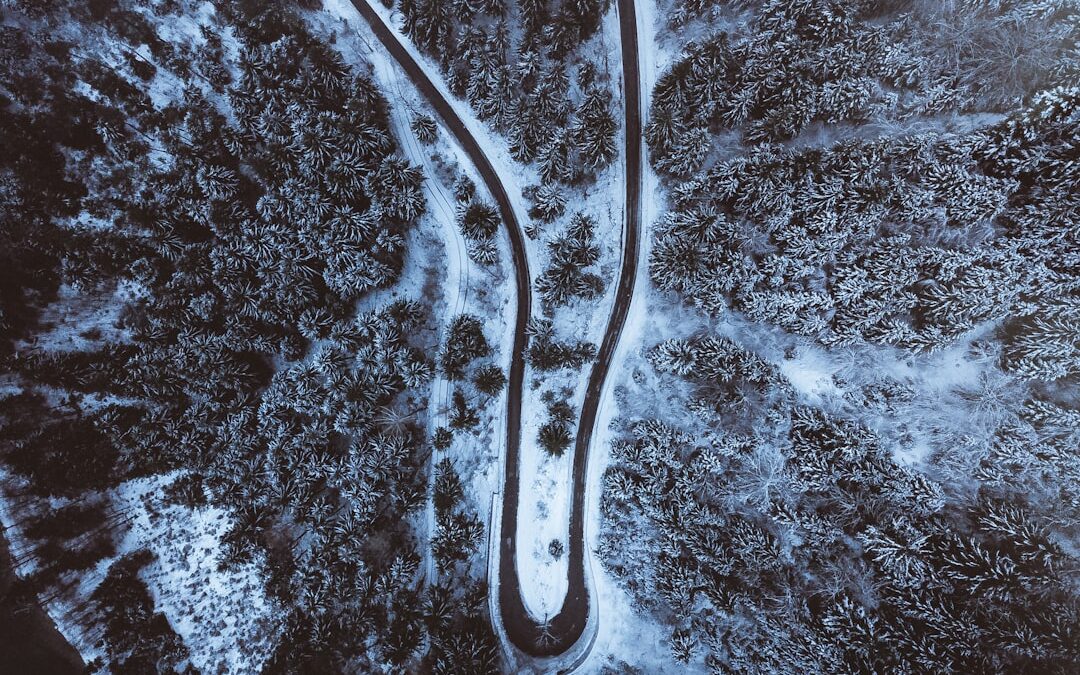 Photo Neuromuscular junction