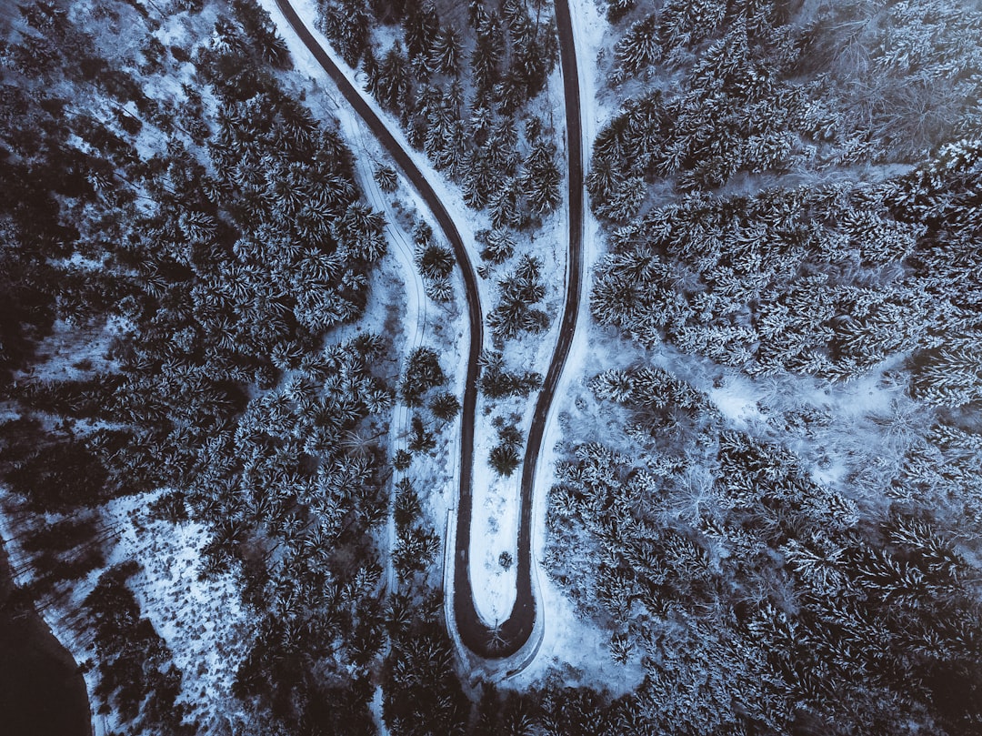 Photo Neuromuscular junction