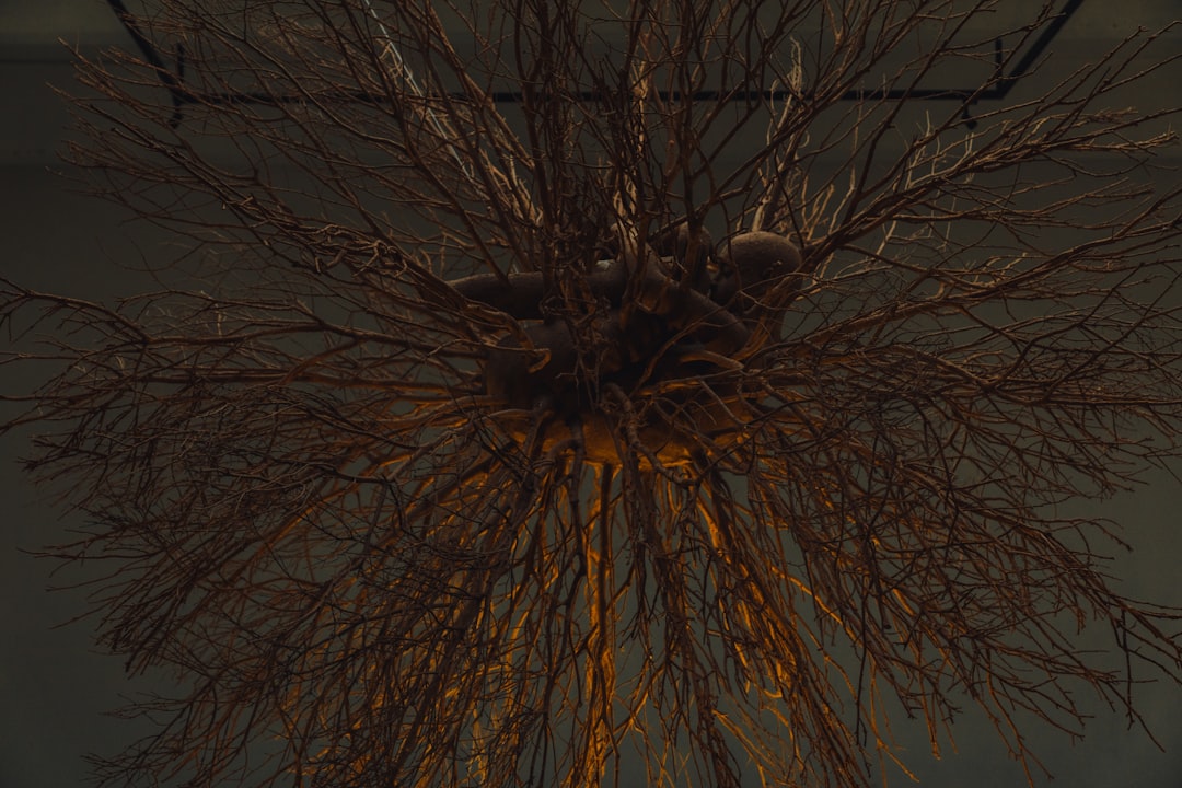 Photo Nerve damage